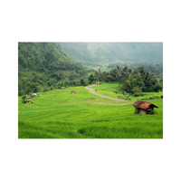 Lowland | Swards with Types and Names