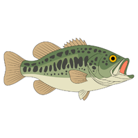 Mack | Fish with Names and Types