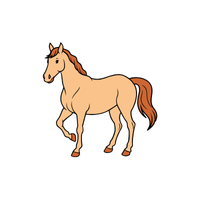 Malapo | Horses with Names and Types