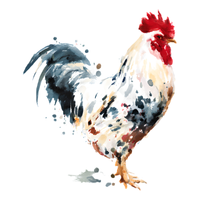 Malay Game | Chickens with Names and Types