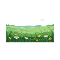 Meadow | Swards with Types and Names