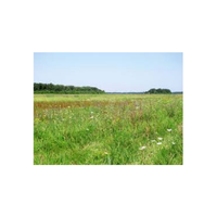 Meadowland | Swards with Types and Names