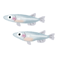 Migrant | Fish with Names and Types