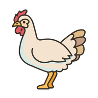 Minorca | Chickens with Names and Types