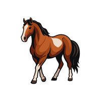 Missouri | Horses with Names and Types