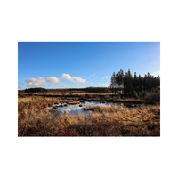 Moor | Swards with Types and Names