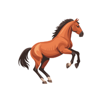 Morgan | Horses with Names and Types