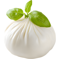 Mozzarella | Cheese with Names and Types