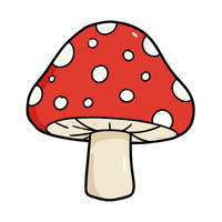 Mushroom | Mushrooms with Names and Types