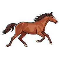Mustang | Horses with Names and Types