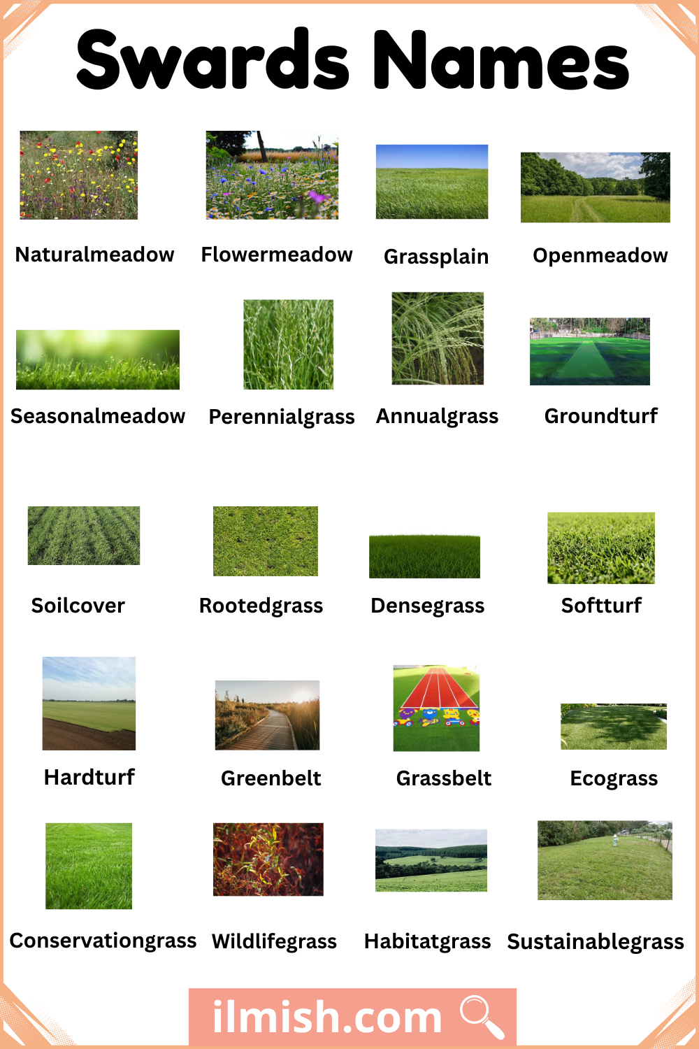 Names of Swards with Types and Pictures