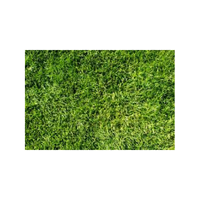 Naturalgrass | Swards with Types and Names