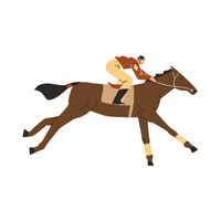 Norfjord | Horses with Names and Types