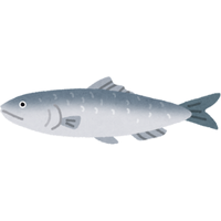 Ocean | Fish with Names and Types