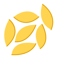 Orzo | Pasta with Names and Types