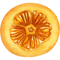 Pansotti | Pasta with Names and Types