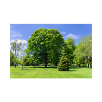 Parkland | Swards with Types and Names