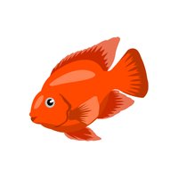 Parrot | Fish with Names and Types