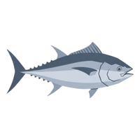 Pelagic | Fish with Names and Types