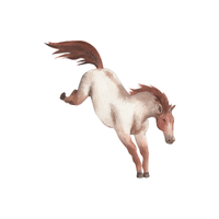 Pindos | Horses with Names and Types