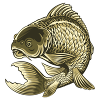 Pipefish | Fish with Names and Types