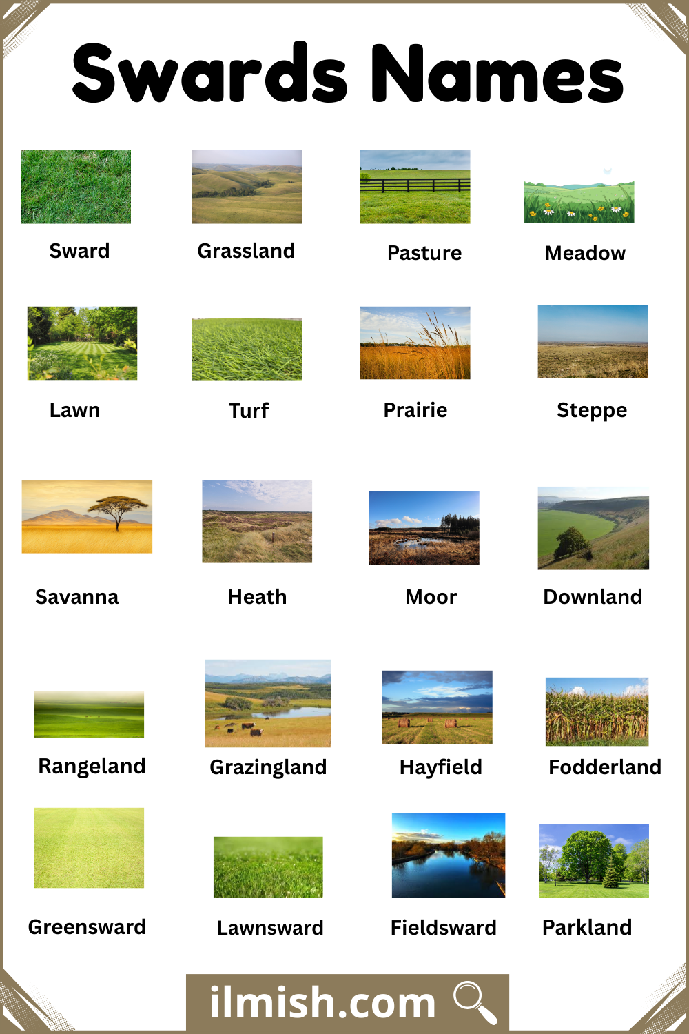 Popular Swards with Names and Pictures