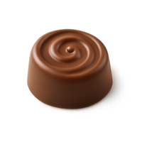 Praline | Chocolates with Names and Types