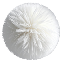 Puffball | Mushrooms with Names and Types