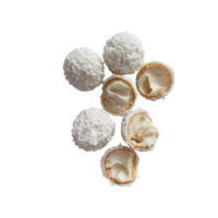 Raffaello | Chocolates with Names and Types