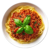 Ravioloni | Pasta with Names and Types