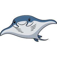 Ray | Fish with Names and Types