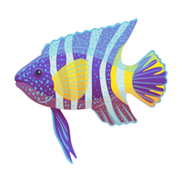 Reef | Fish with Names and Types