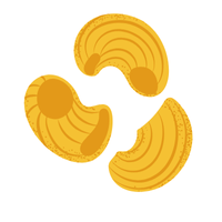 Rigatoni Rigate | Pasta with Names and Types