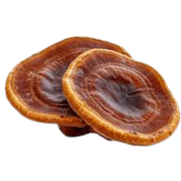 Ring | Mushrooms with Names and Types