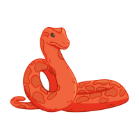 Rock Python | Snakes with Names and Types