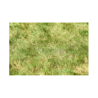 Roughgrass | Swards with Types and Names