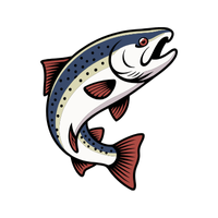 Salmon | Fish with Names and Types