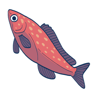 School | Fish with Names and Types