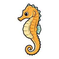 Seahorse | Fish with Names and Types