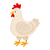 Sebright | Chickens with Names and Types
