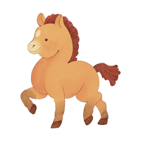 Shetland Pony | Horses with Names and Types