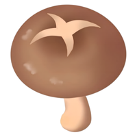 Shiitake | Mushrooms with Names and Types