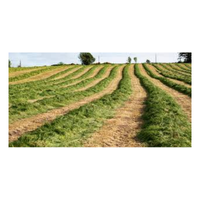 Silagefield | Swards with Types and Names