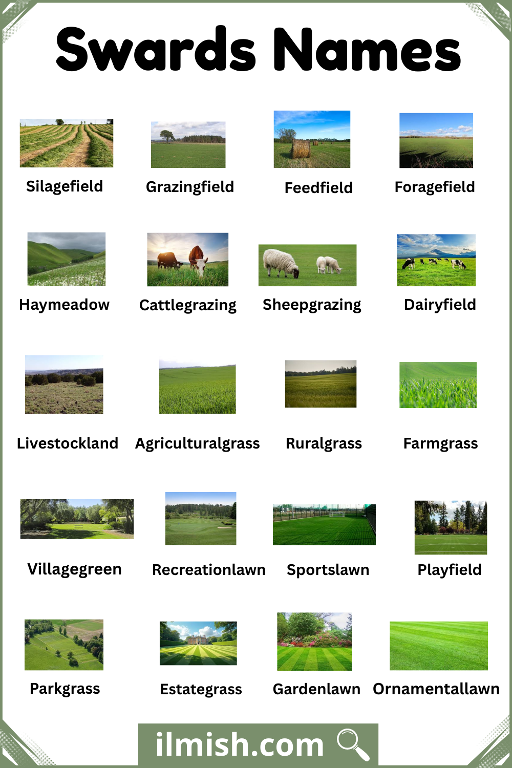 Simple English Names for Swards with Pictures