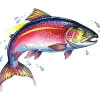 Skate | Fish with Names and Types