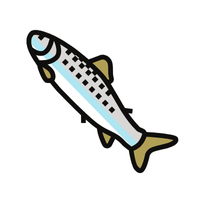 Smolt | Fish with Names and Types