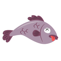 Spawn | Fish with Names and Types