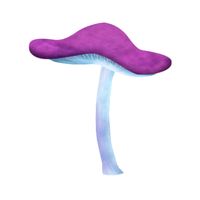 Spore | Mushrooms with Names and Types