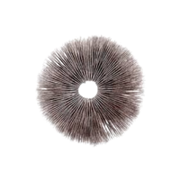 Spores Print | Mushrooms with Names and Types