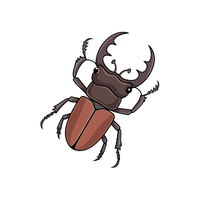 Stag beetle | Crawling Insects Names